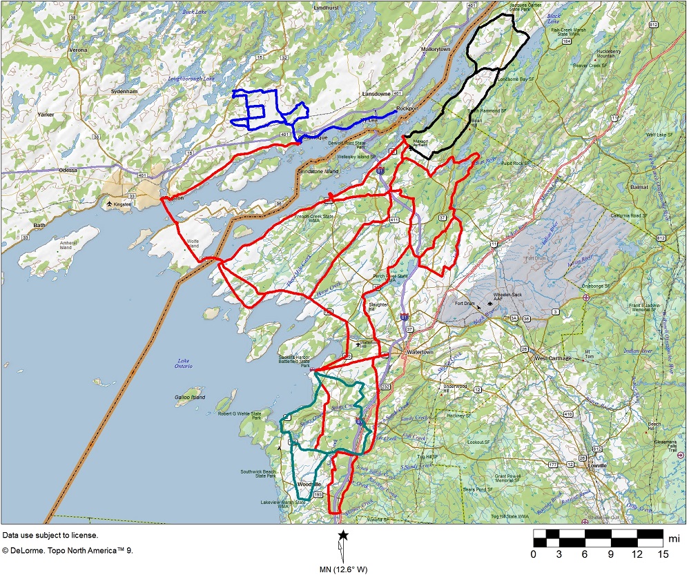 TI routes